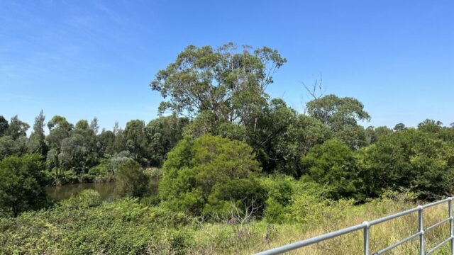 Mill Park