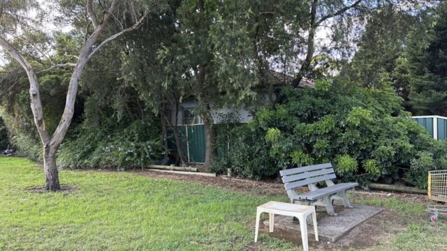 Minnie Freeman Park