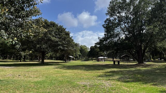 Moore Reserve