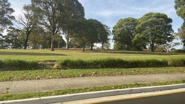 Mount Lewis Park