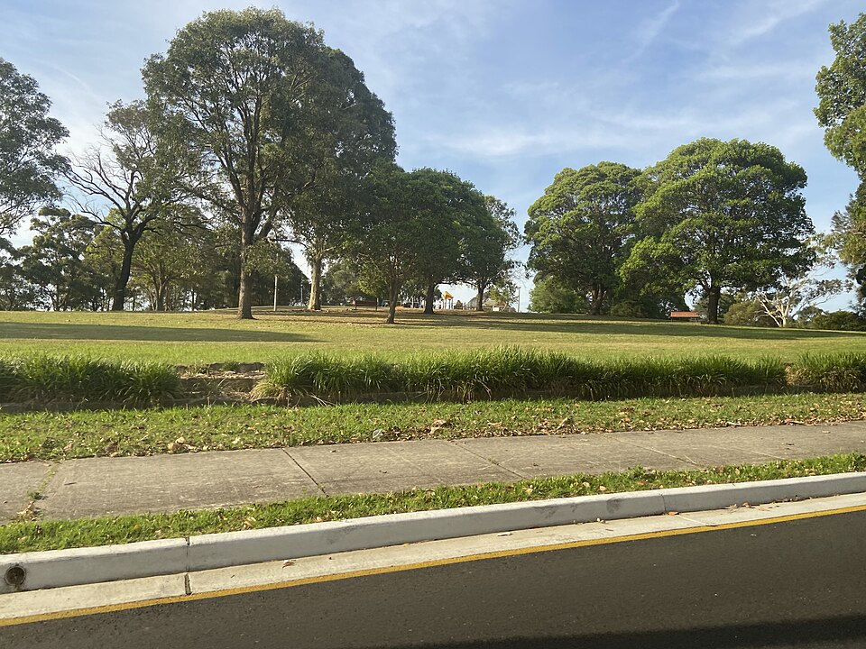 Mount Lewis Park