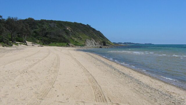 Sunnyside Beach