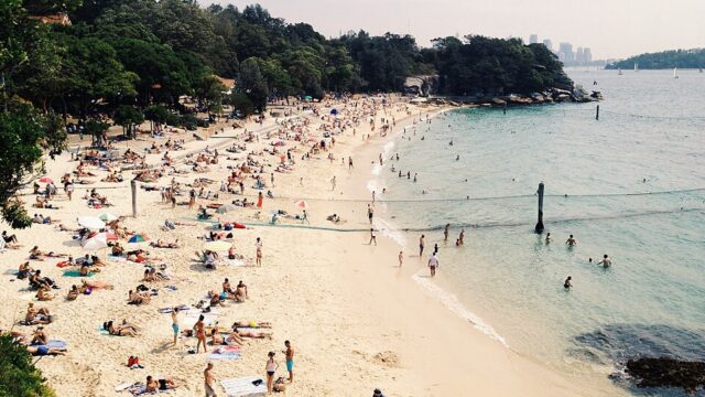 Shark Beach