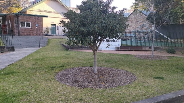 Nita McCrae Park