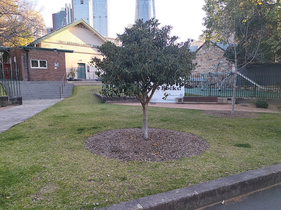 Nita McCrae Park