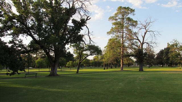 Wellington Square
