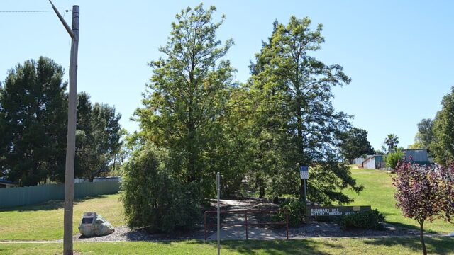 Bushmans Hill Reserve