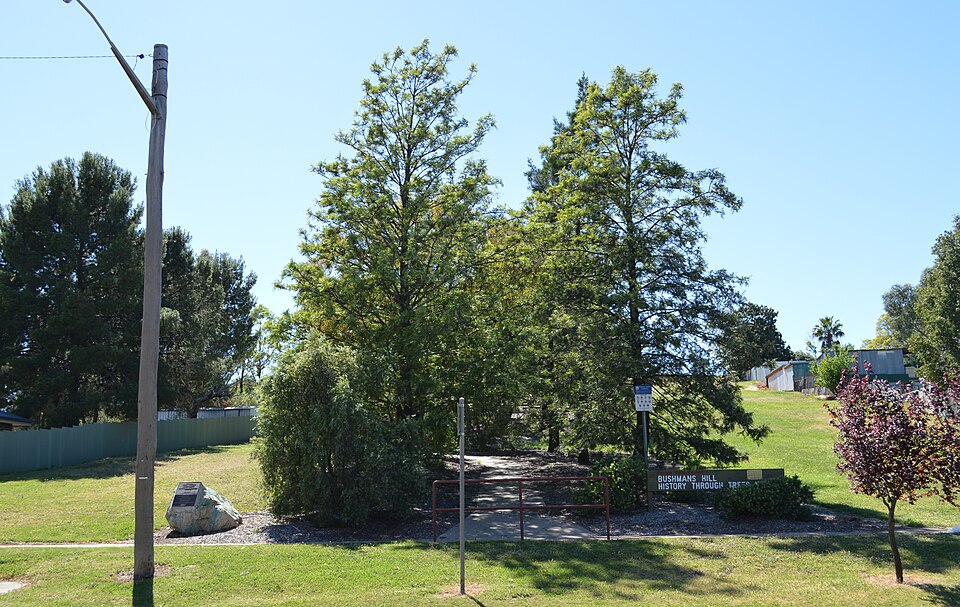 Bushmans Hill Reserve