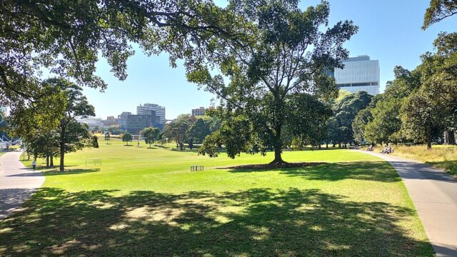 Prince Alfred Park