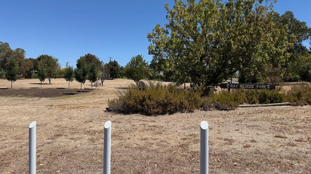 Ray Beddoe Park
