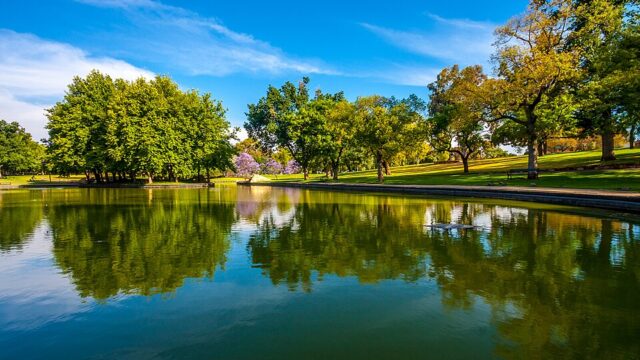 Rymill Park / Murlawirrapurka (Park 14)