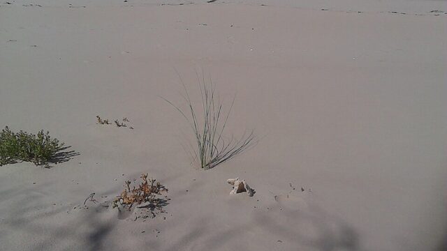 Seven Mile Beach