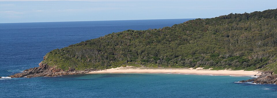 Shelly Beach