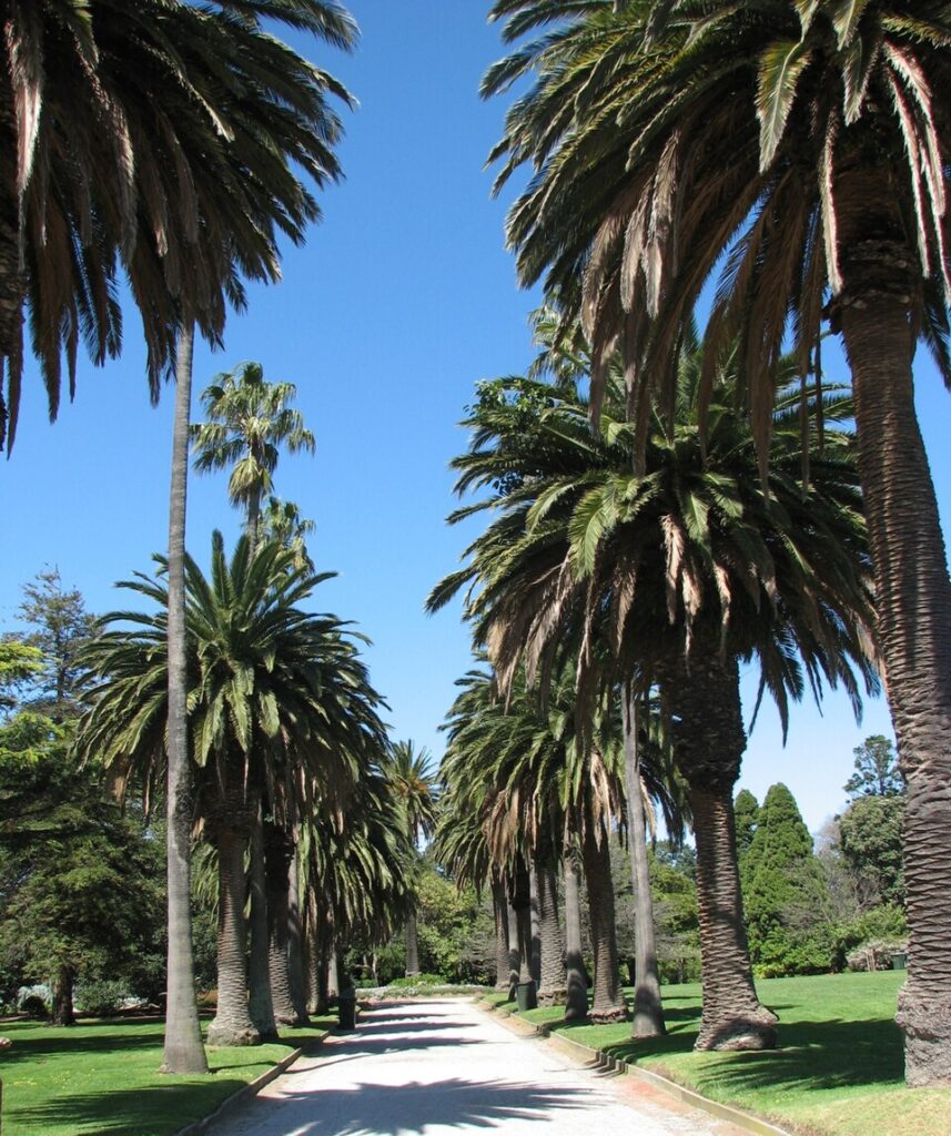 St Kilda Botanic Gardens