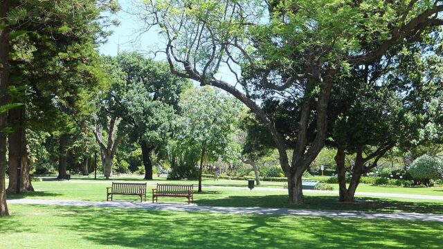 Stirling Gardens