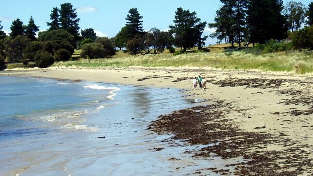 Jubilee Beach