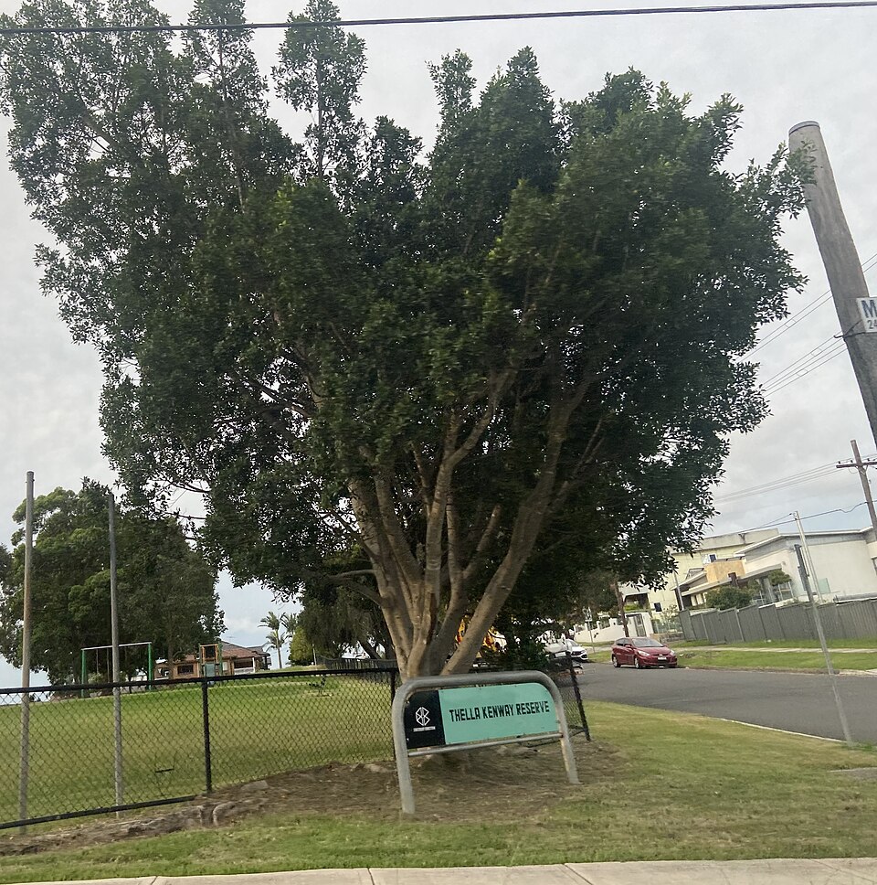 Thella Reserve