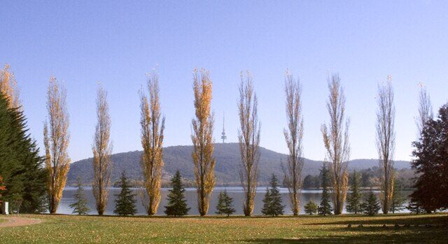 Lennox Gardens