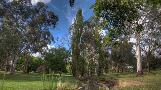 Telopea Park