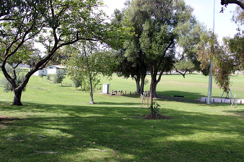 Bruce Lee Reserve