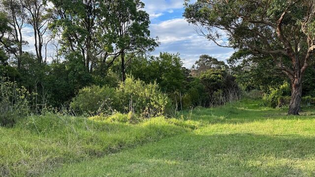 Waddell Brothers Park