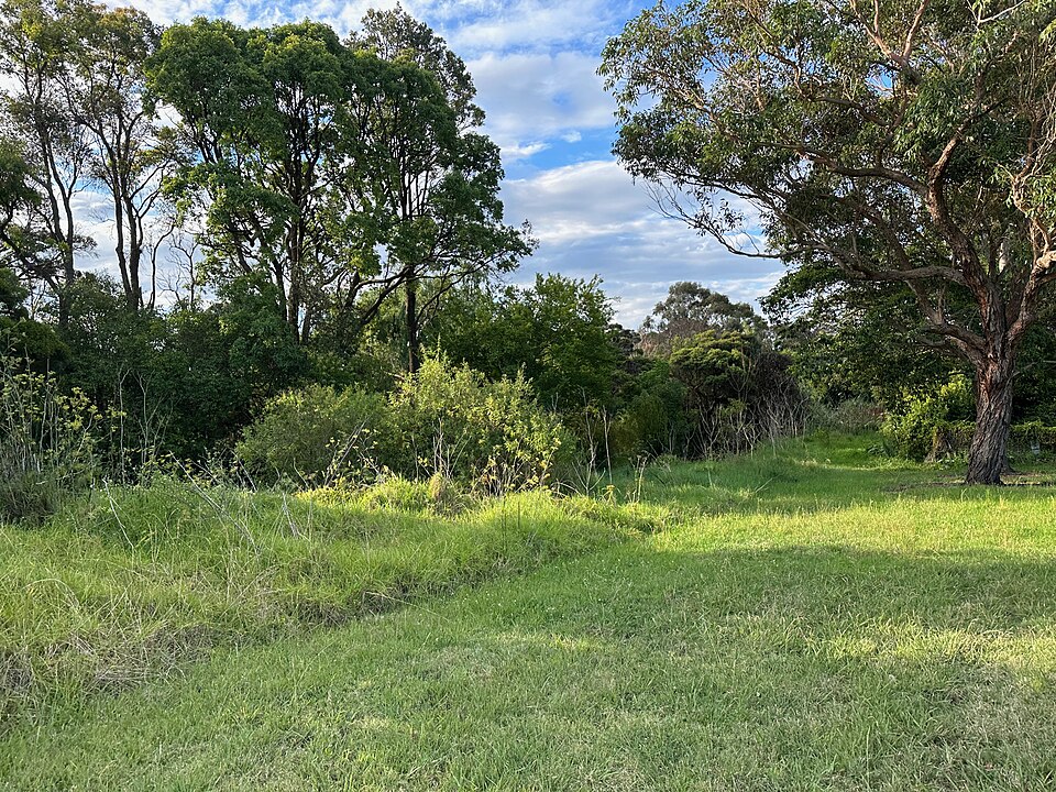 Waddell Brothers Park
