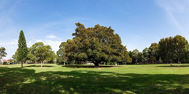 War Memorial Park