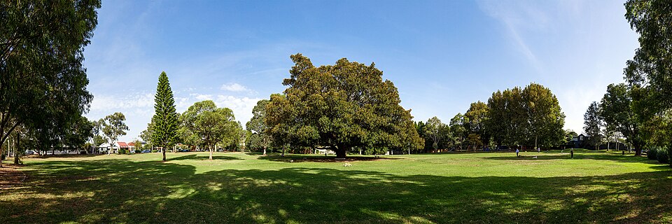 War Memorial Park