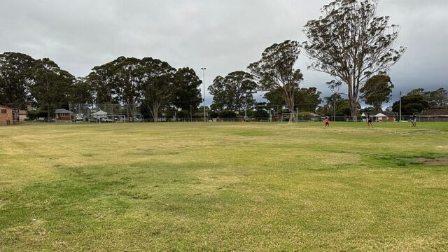Wheat Park