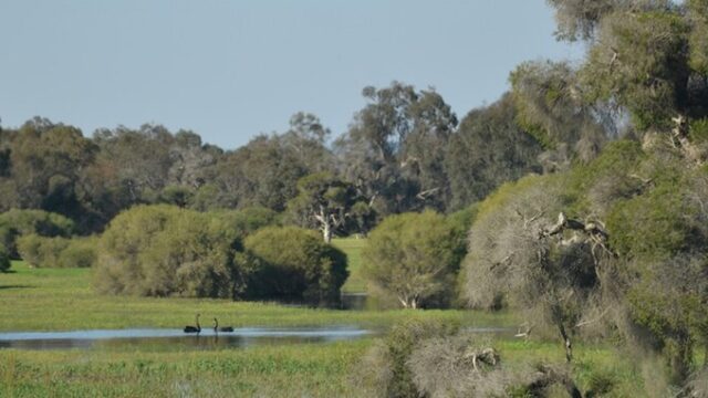 Whiteman Park