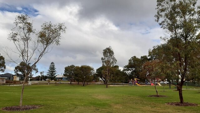 Wilson Park