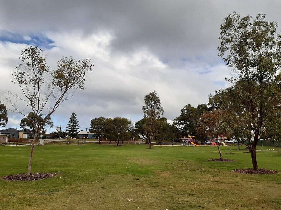 Wilson Park