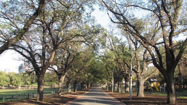 Yarra Park