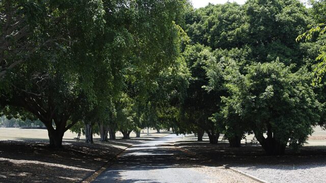 Yeronga Memorial Park