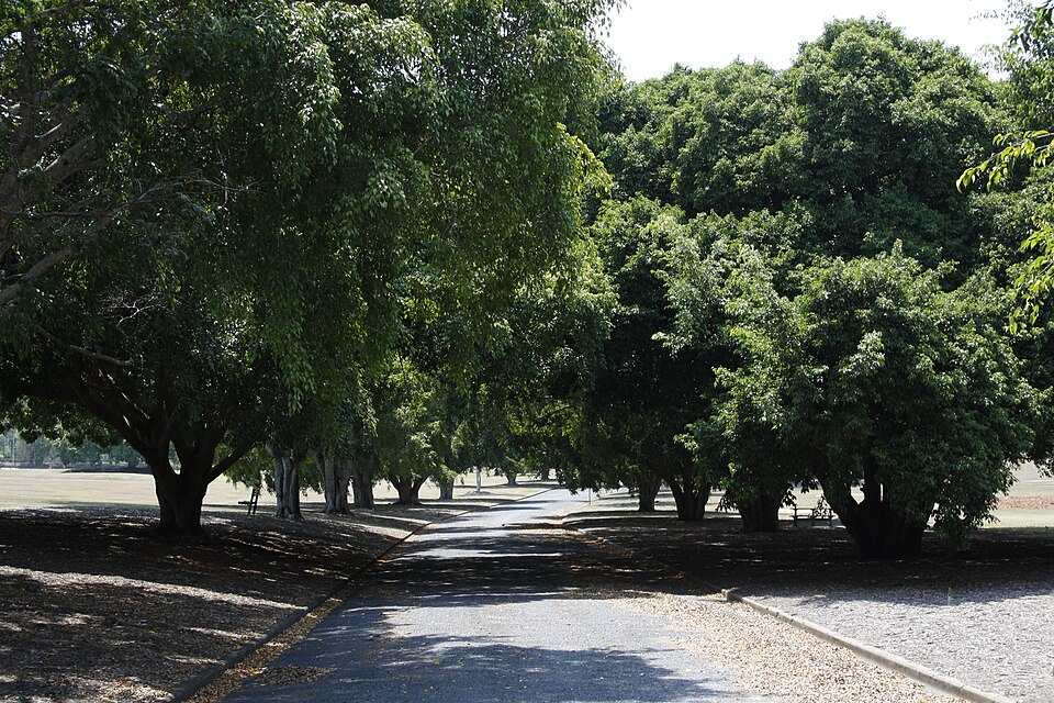 Yeronga Memorial Park