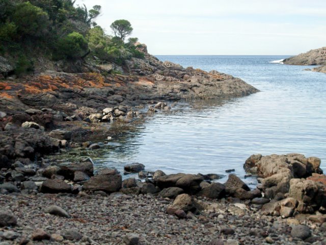 Bass Point Reserve