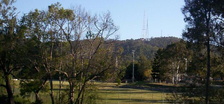 Mount Coot-tha Botanic Gardens